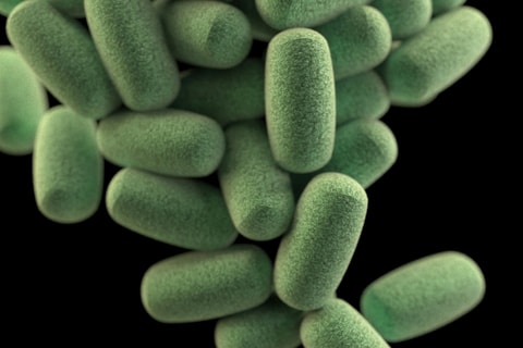 gut-brain-connection-microbiome-friendly-food-brain_21211
