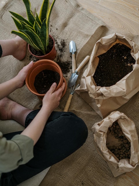 grounding práctica